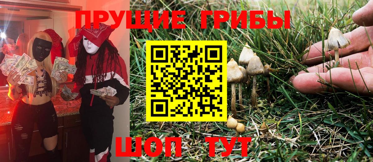 Сунжа  Галлюциногенные грибы ЛСД  Вход с VPN  Псилоцибиновые грибы Magic Shrooms 