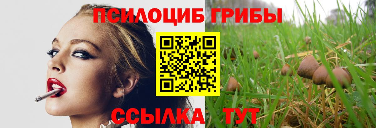 Псилоцибиновые грибы мицелий Сунжа